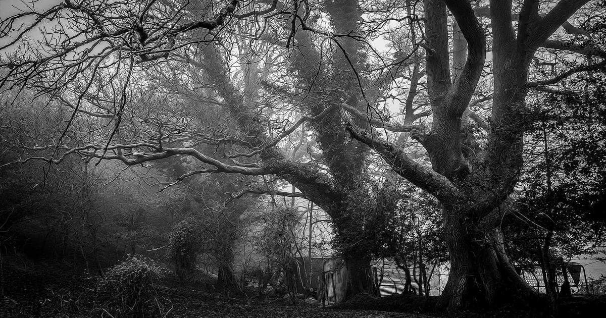 Am I Eligible? The PM Surya Ghar Subsidy Explained